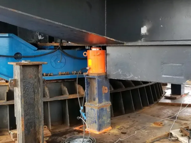 Crane-Weighing